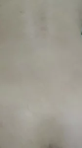 申请论坛邀请码